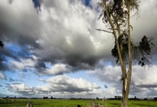 美国男篮再次称霸世界，成功卫冕冠军