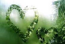 雄鹿火箭交易传闻：字母哥或赴休斯顿雄鹿获潜力新星+选秀权