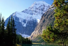 争冠热门！火箭、雄鹿涉及7换2交易，申京、白魔等人变成筹码