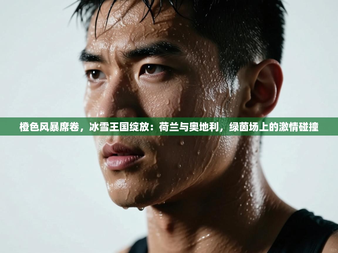 橙色风暴席卷,冰雪王国绽放:荷兰与奥地利,绿茵场上的激情碰撞 第2张